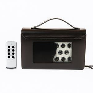 משבש למקליטים ומיקרופונים